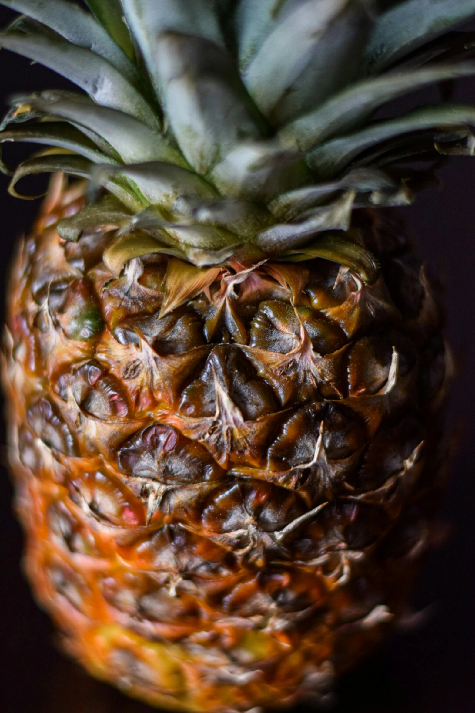 a pineapple with several leaves and some brown spots on it