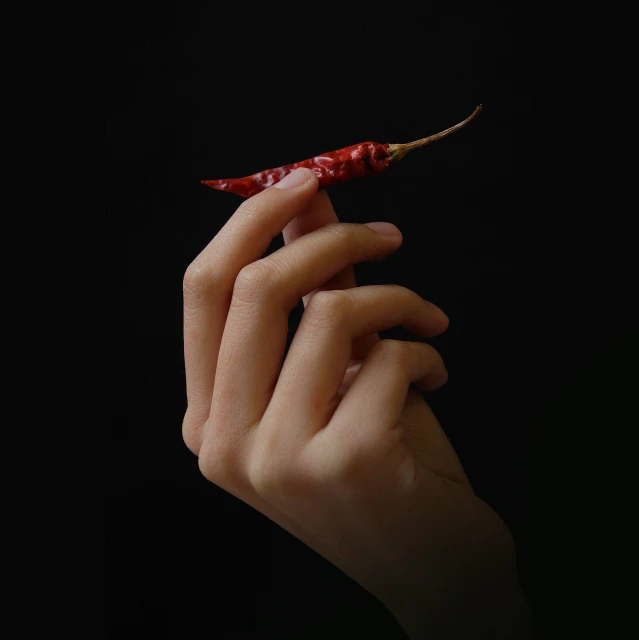 a person holding out a single pepper in their hand