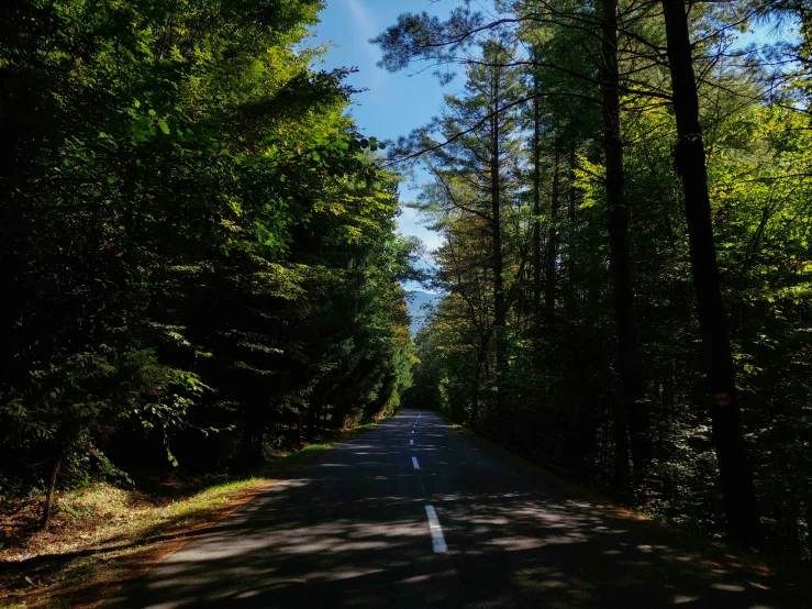 a street surrounded by trees with a light shining on it