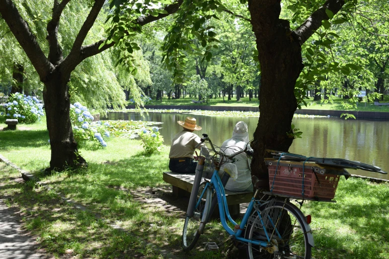 a man sitting on a park bench beside two bikes