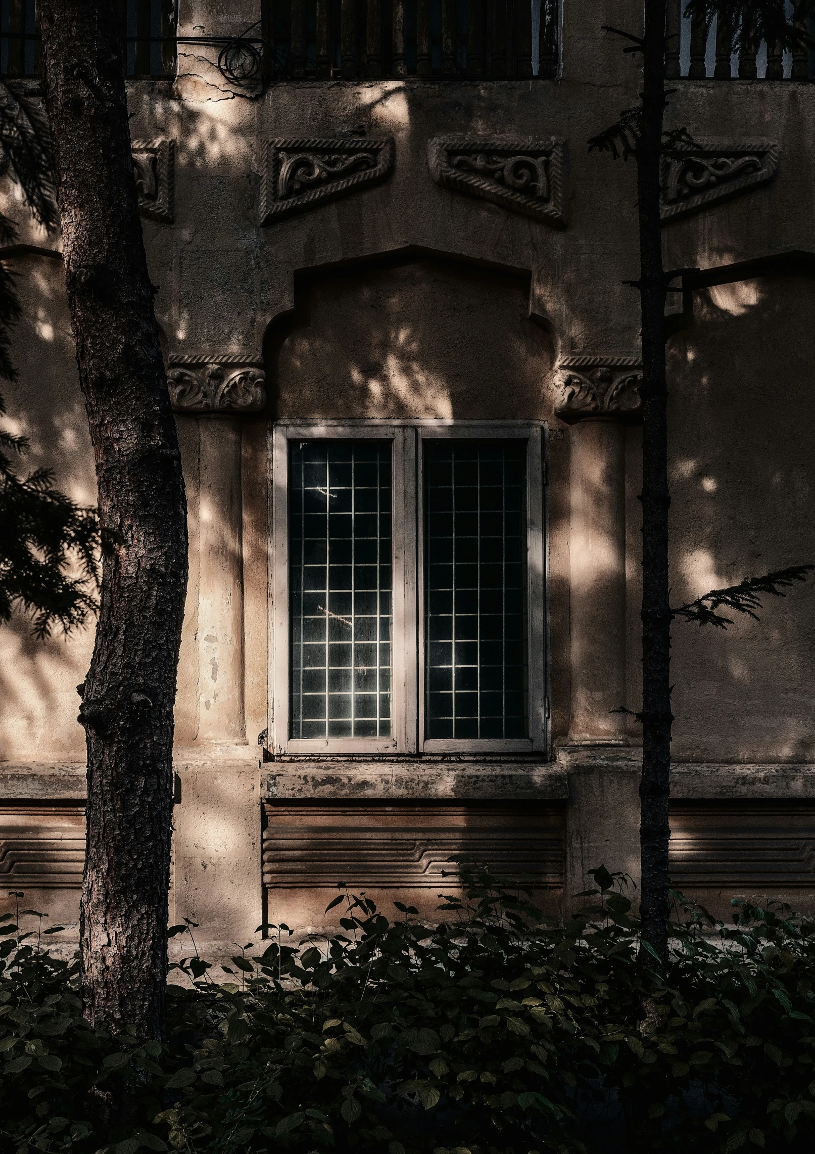 a tree is outside a window and bench