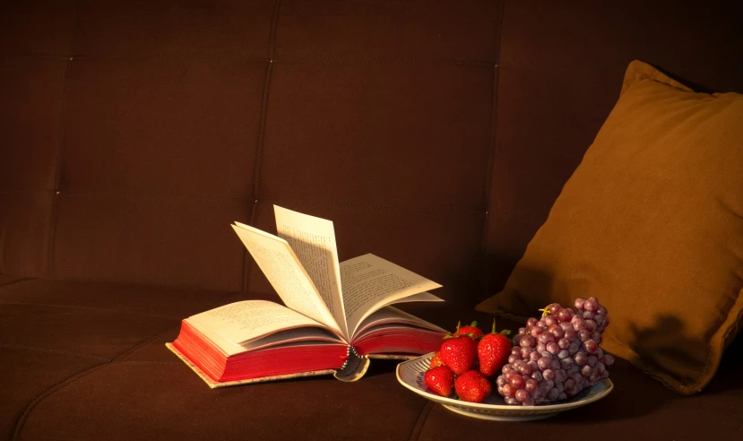 a close up of an open book and strawberry on a plate on a sofa