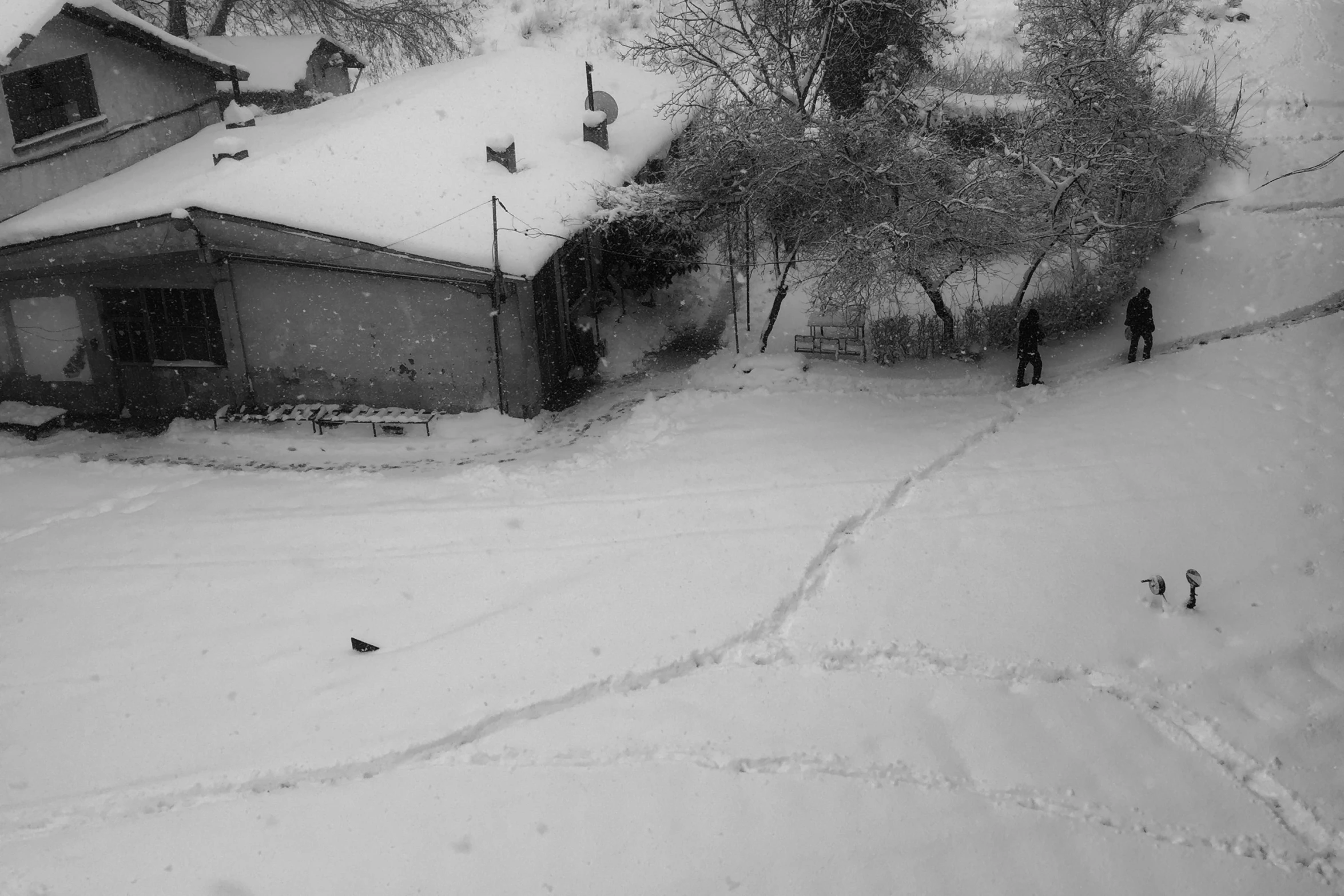 a bird is walking on snow covered ground next to houses