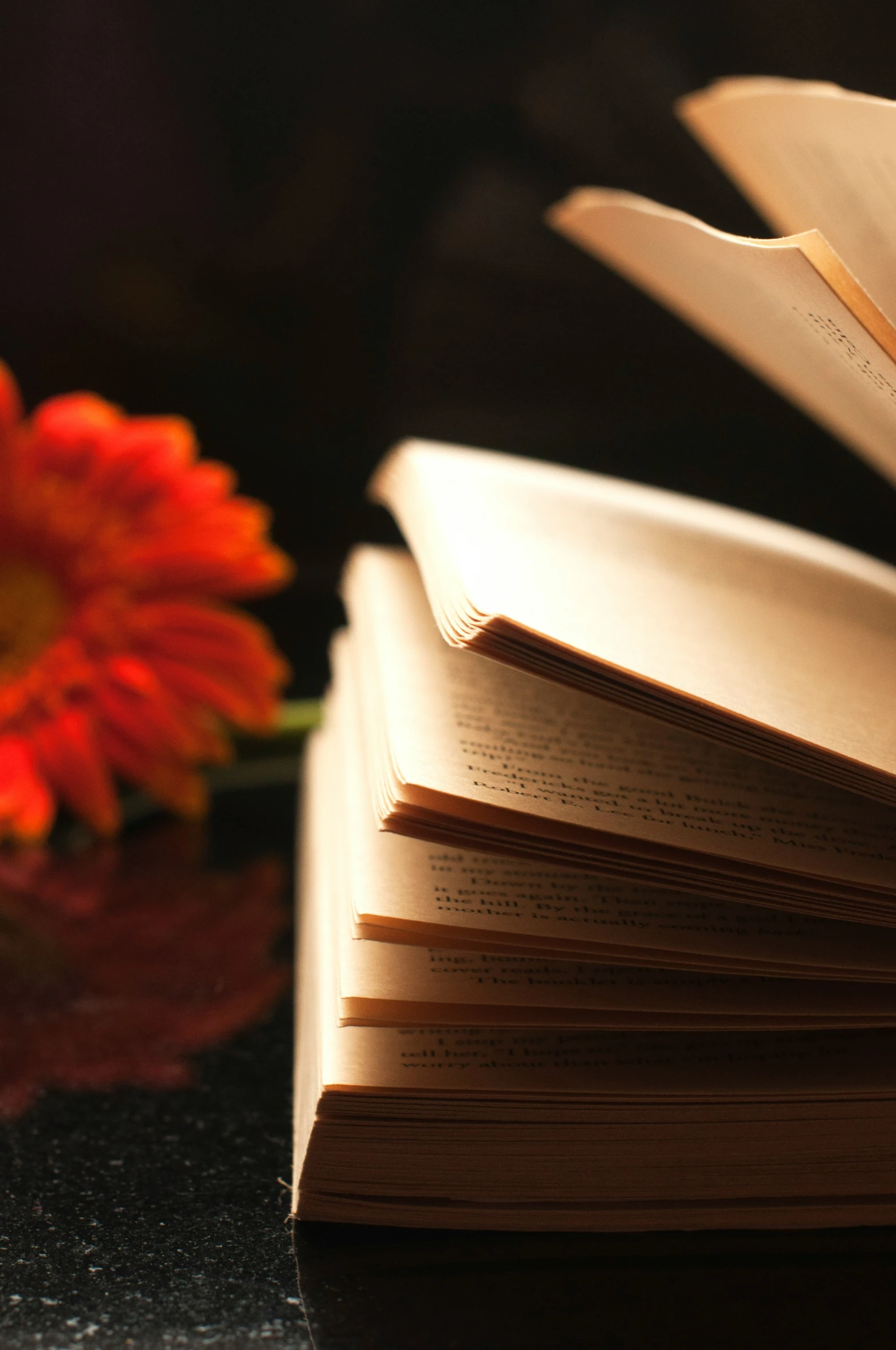 several books on a table next to a flower