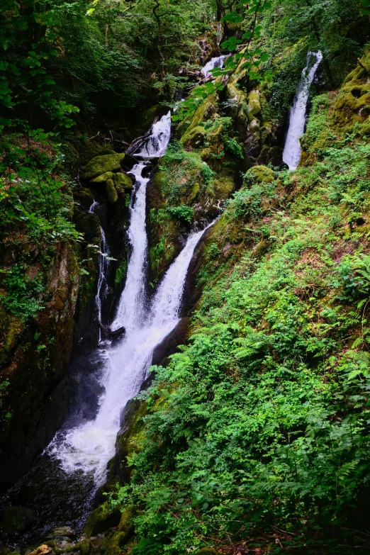 there are three falls next to each other