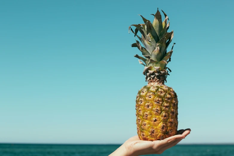 someone holds a pineapple up on the beach