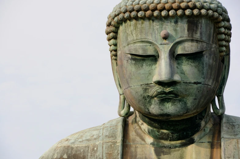 a closeup view of a large head and the skin of a buddha statue