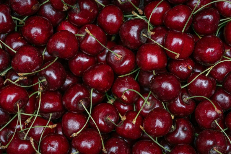 many cherries sit together on display at the market