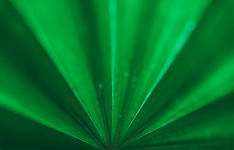 a green image of a very large light