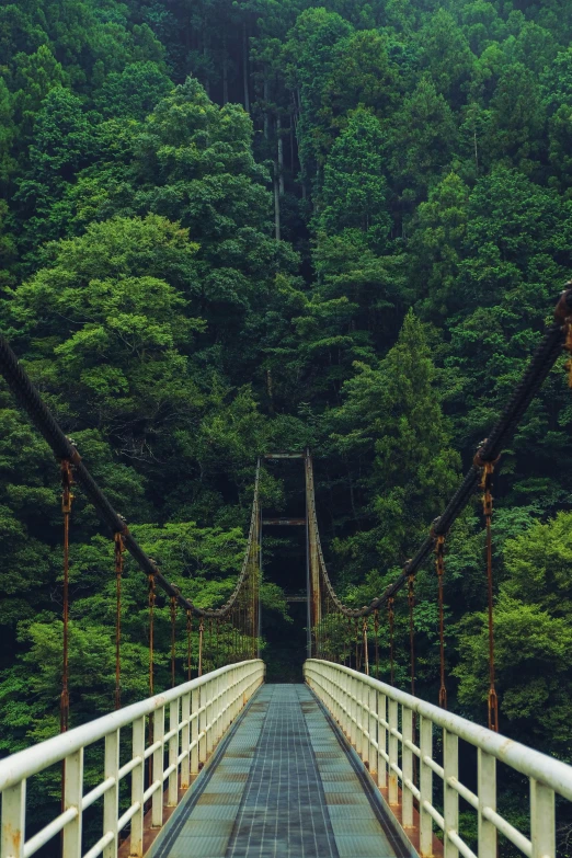 a bridge over a large green valley surrounded by trees