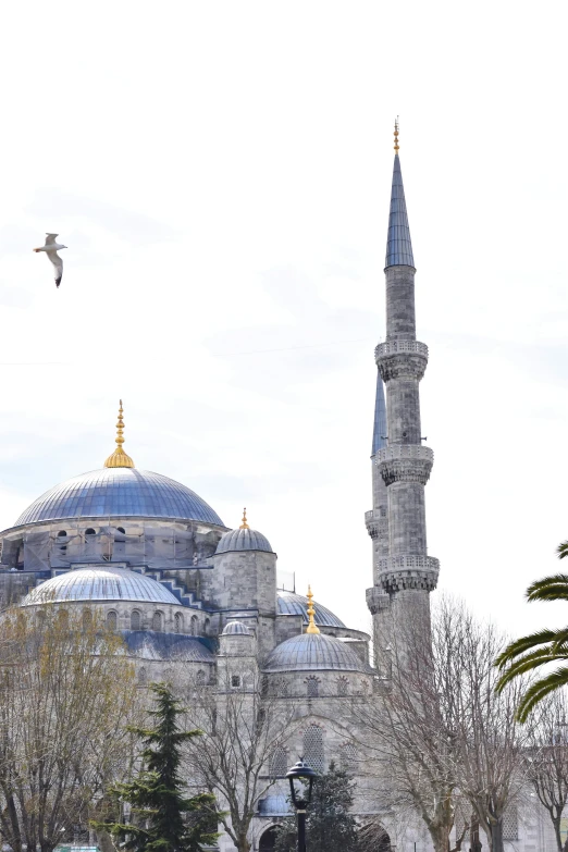 there is a bird flying over a large building