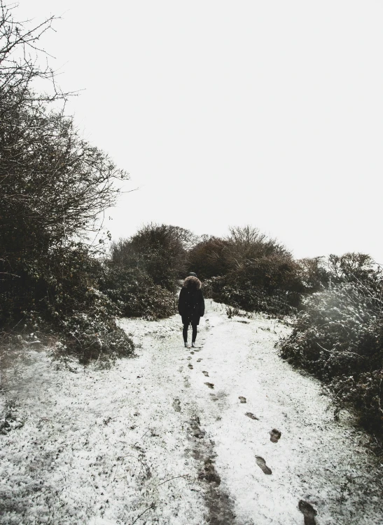 a person walking on a dirt road in the wild