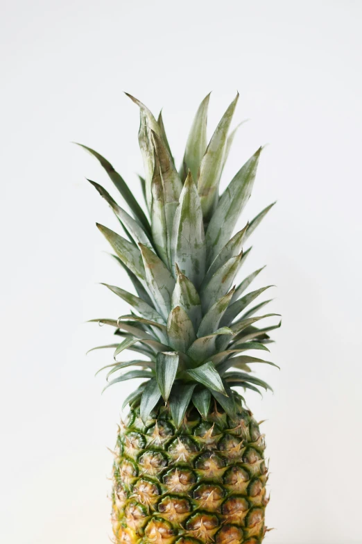 there is a pineapple on the table next to a white background