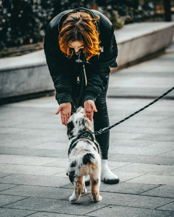 a woman walking her dog down the sidewalk