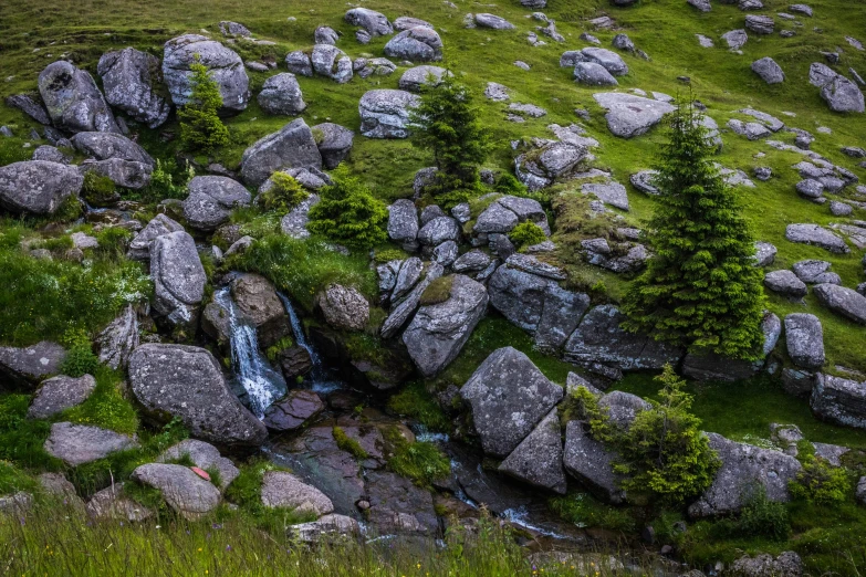 a rock field with a stream in the middle