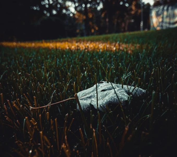 a piece of rock sitting in some grass