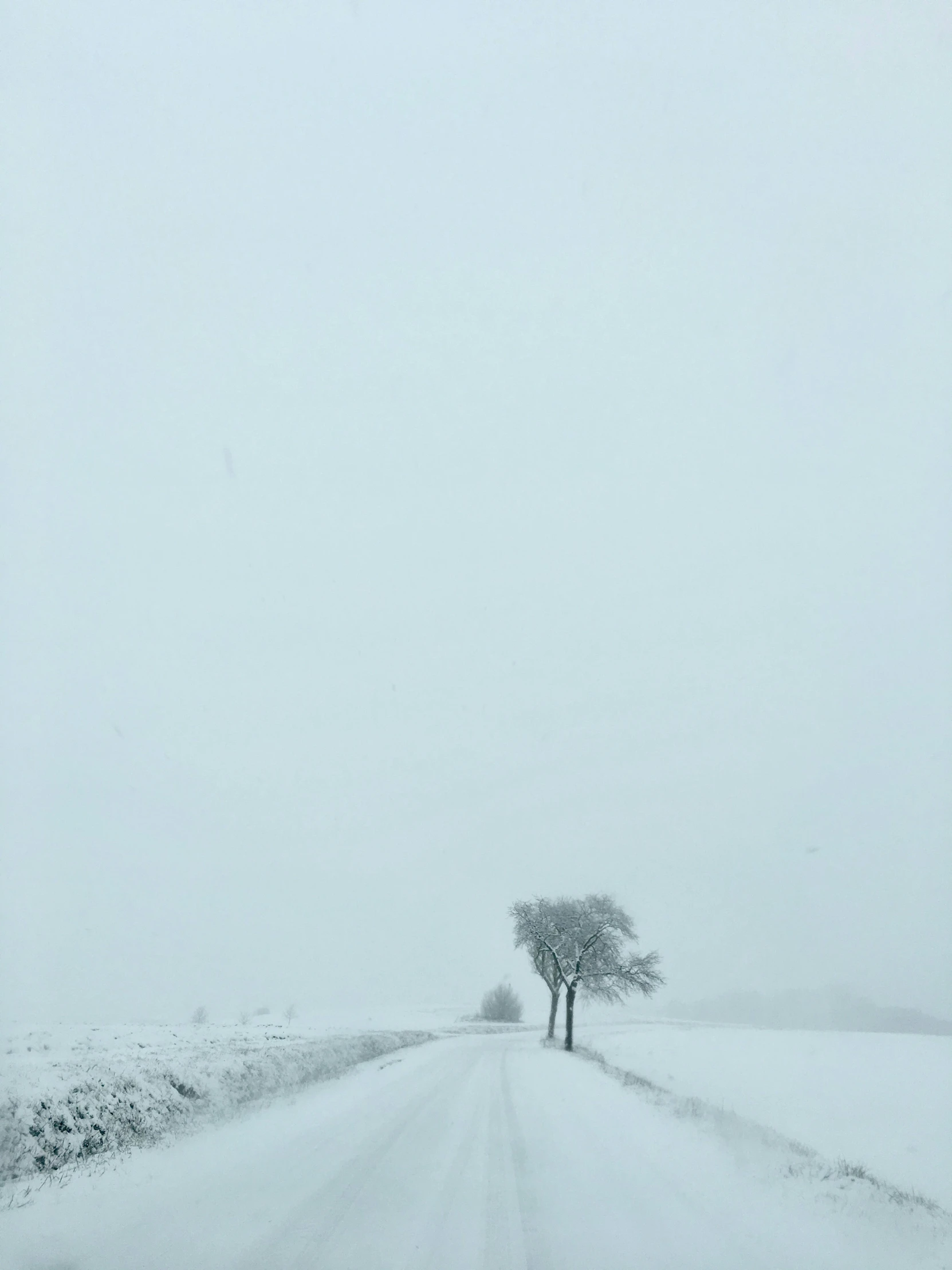 a lone tree sitting on the side of a snowy road