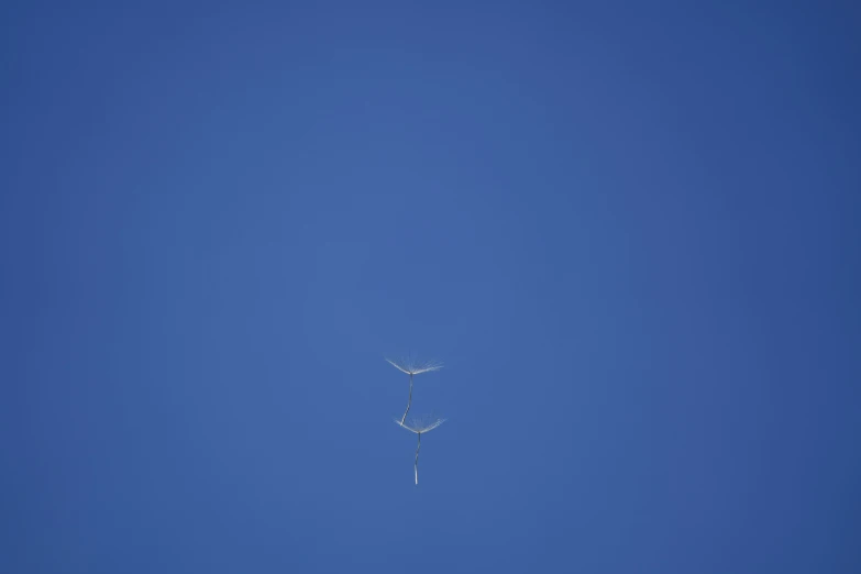 an airplane is flying overhead in the sky