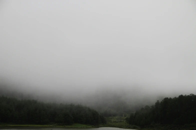 fog over a lake in the middle of the forest