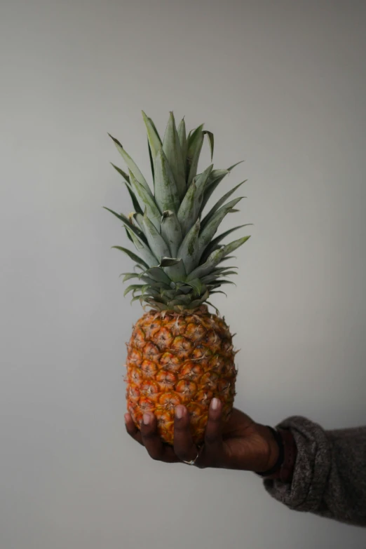 a person holding up a pineapple on his palm