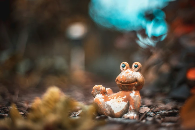 a cute brown frog sitting next to a bird