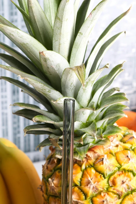 a very close s of a pineapple on the table