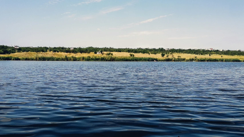 lake surrounded by grassy area and forest on the other side