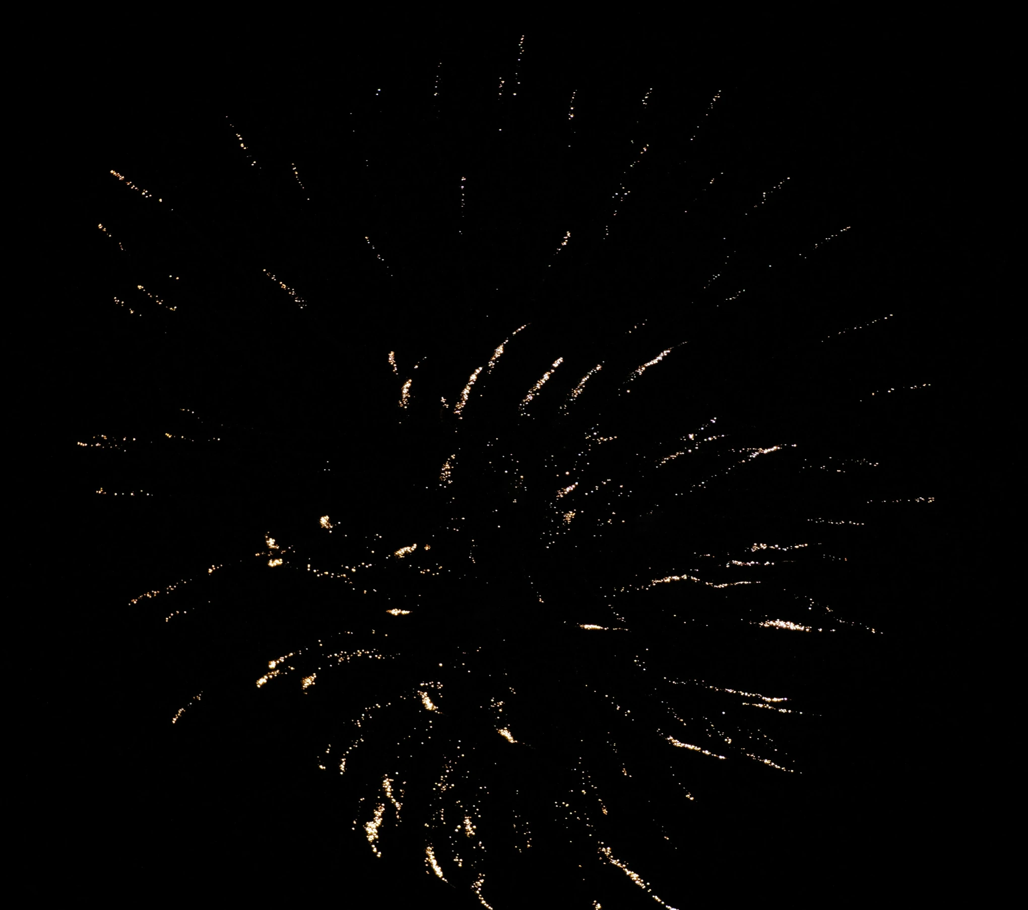 the black fireworks can be seen in the sky