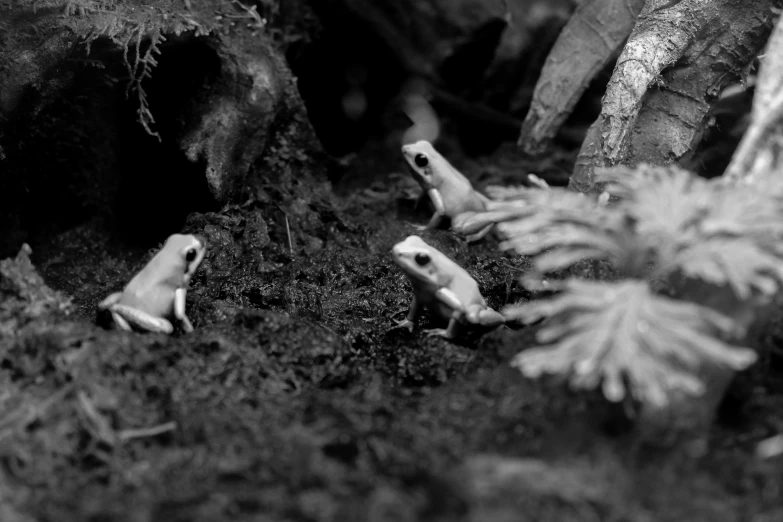 tiny toy people standing next to a tree stump