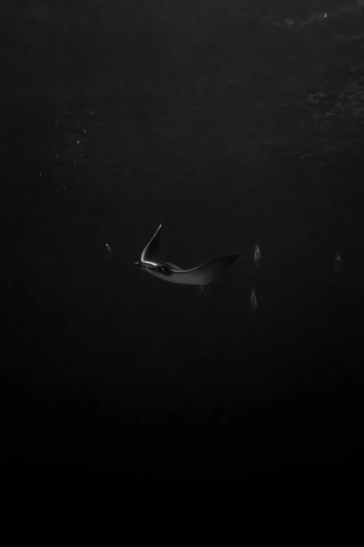 a boat floating on top of the ocean in dark water