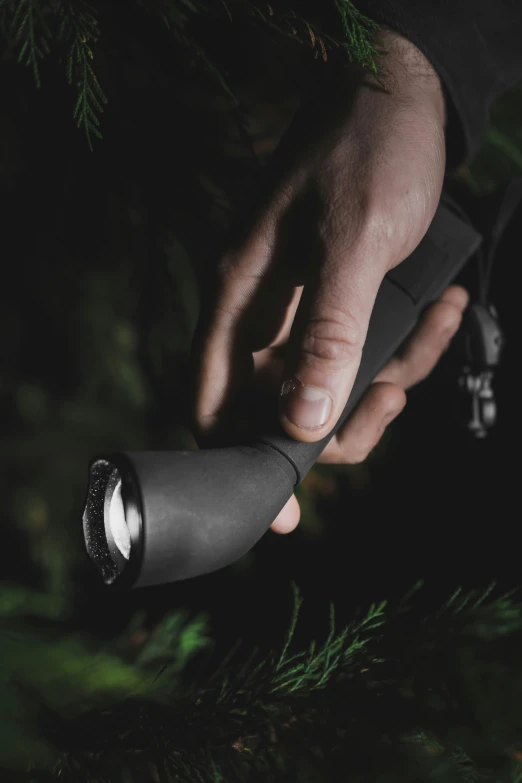 man hand holding flashlight in tree at night