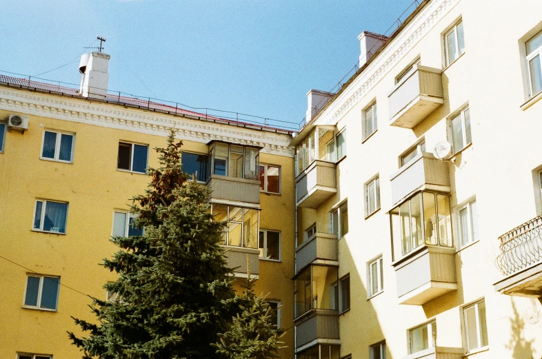 an orange building and a tree in a courtyard