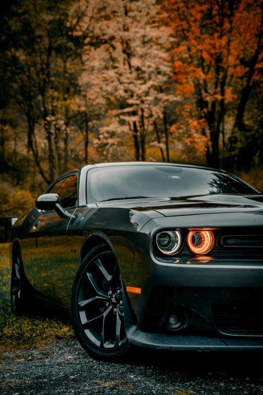 an all black car sits in front of some trees