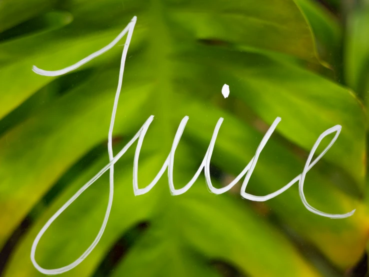 a close up of the word july in white ink on the surface of a plant