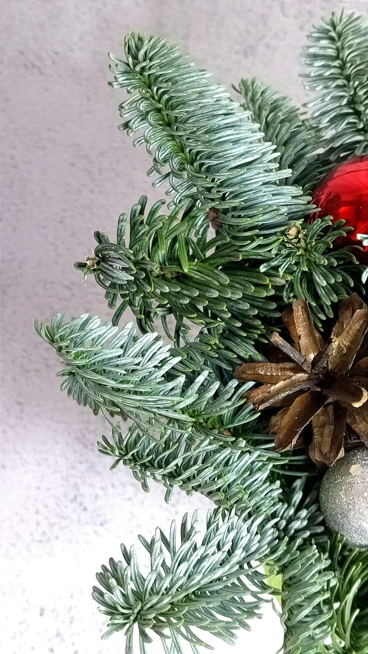 christmas decoration hanging from a fir tree nch