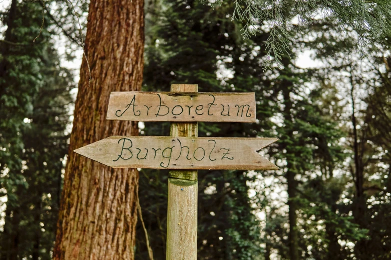 two directional signs indicating the direction to different locations
