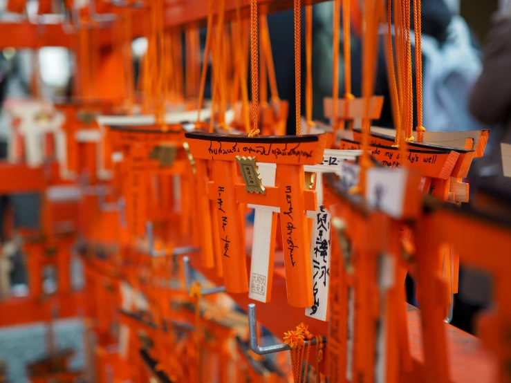 a group of orange frames on the wall