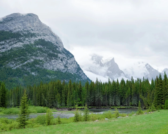 a large mountain range that has trees and grass