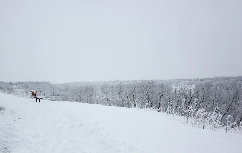 a snow covered mountain with trees and shrubs and a person sitting on it