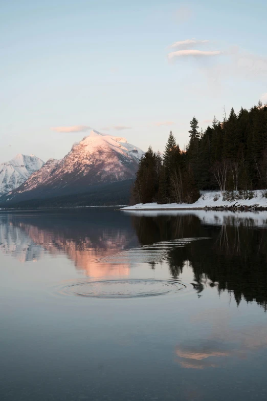 a calm lake with trees reflected in the water