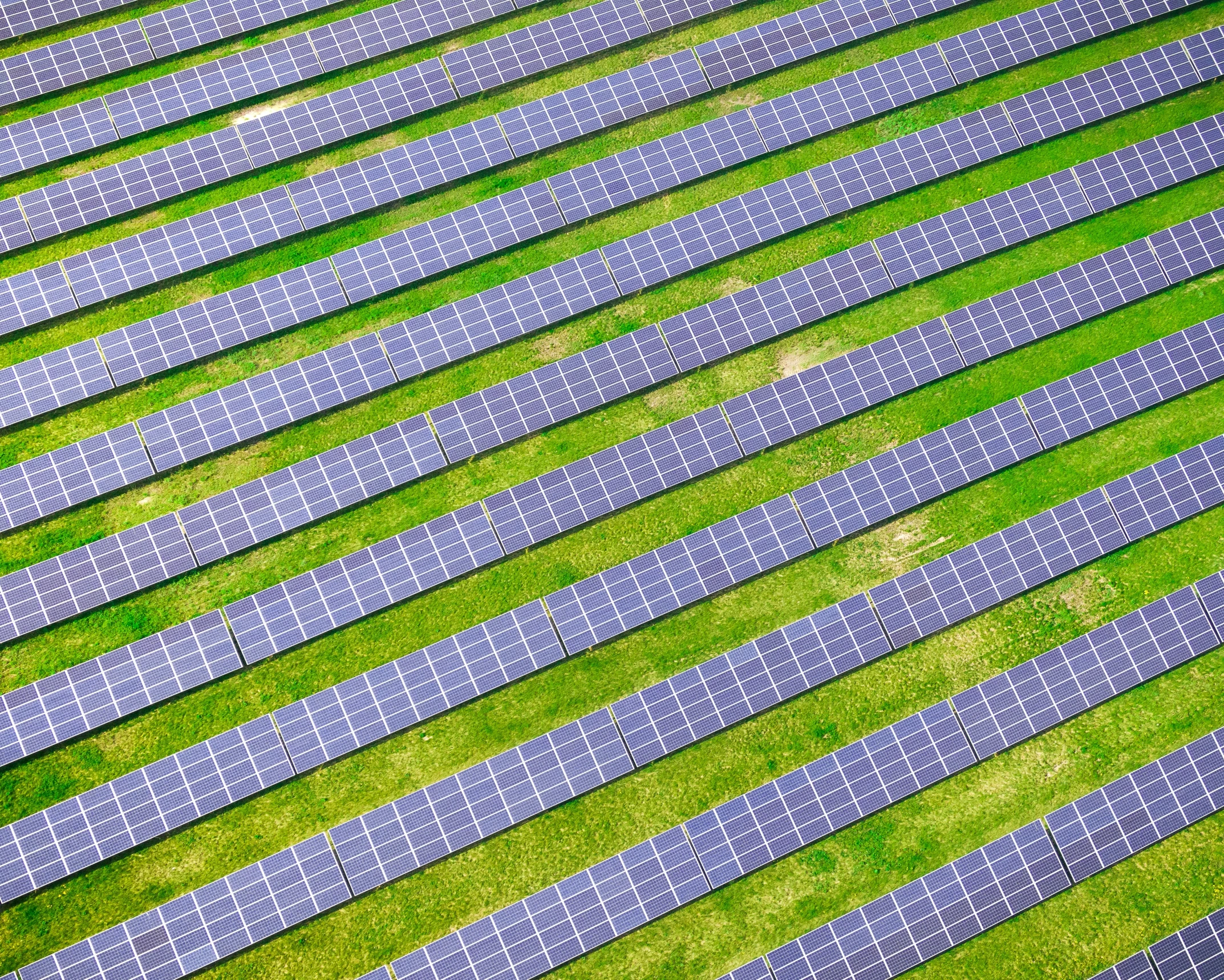 a view of the green ground with several rows of beds