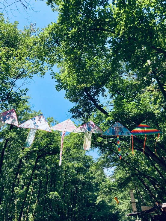 a kite flying through the air in front of some trees