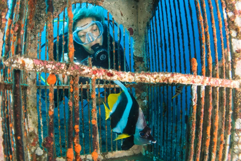 a person wearing scuba gear is peeking through a cage