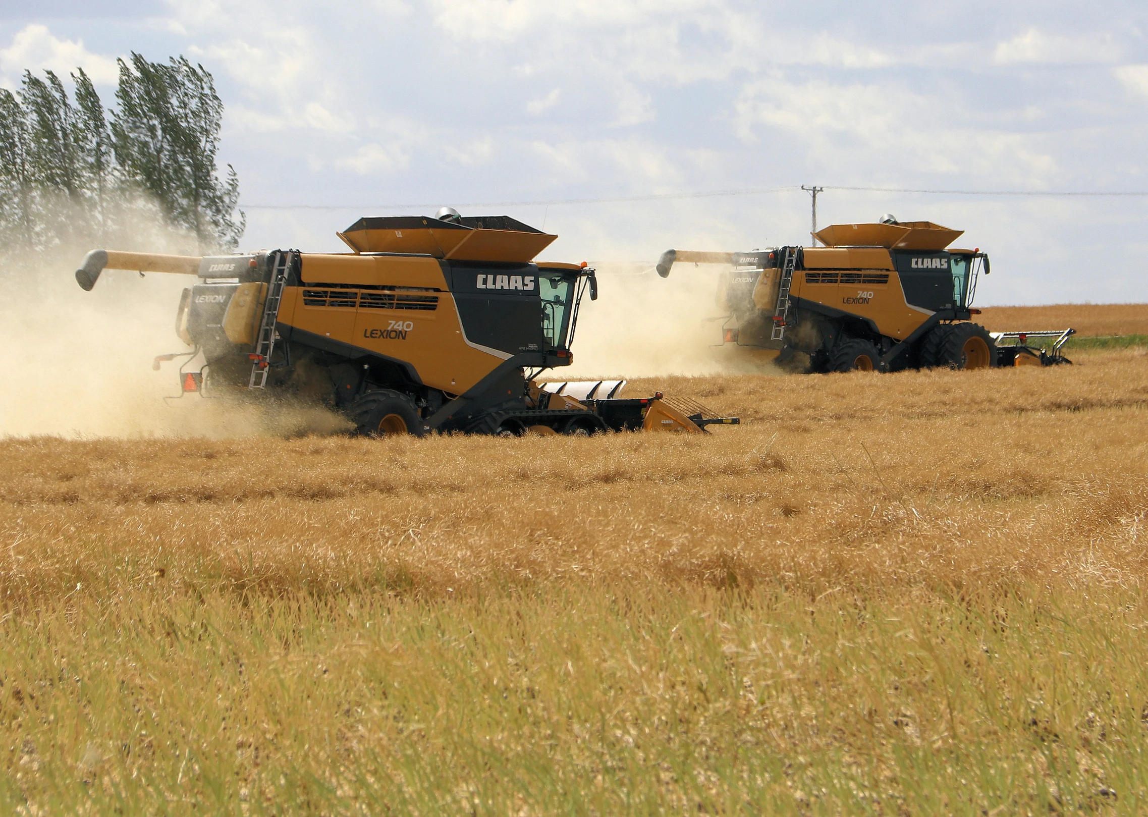 the harvesting of a field of crops