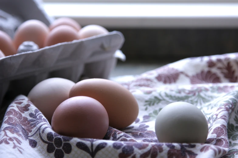 several brown eggs sitting in a basket with a white egg in it