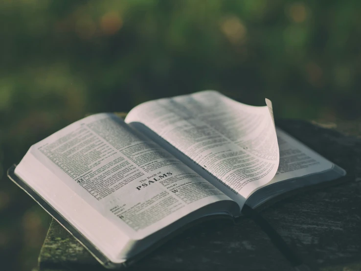 an open book with page numbers sitting on a rock