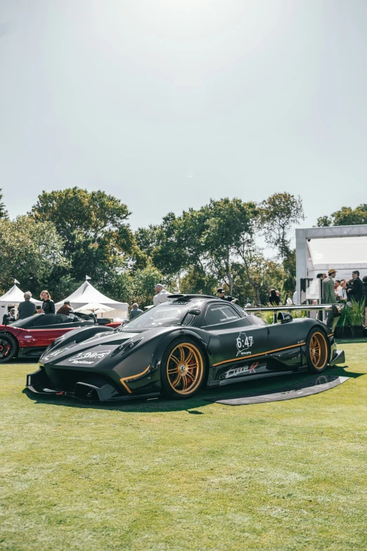 a black sports car in the middle of a grass area