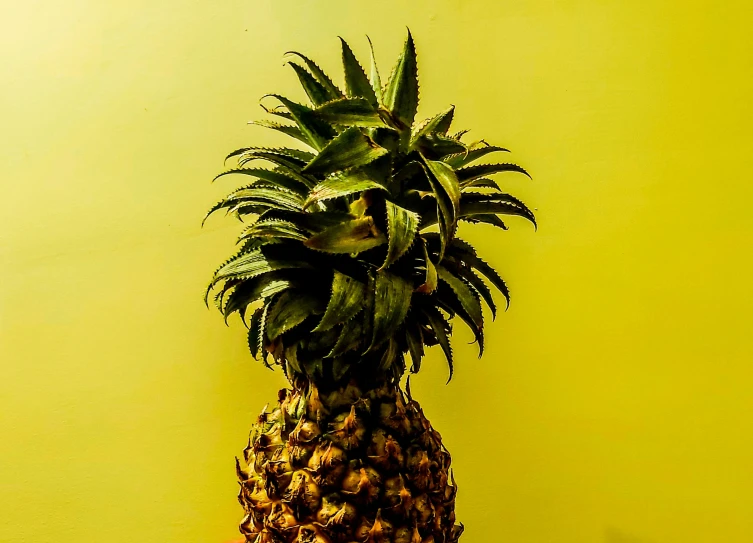 a pineapple is on a yellow pedestal