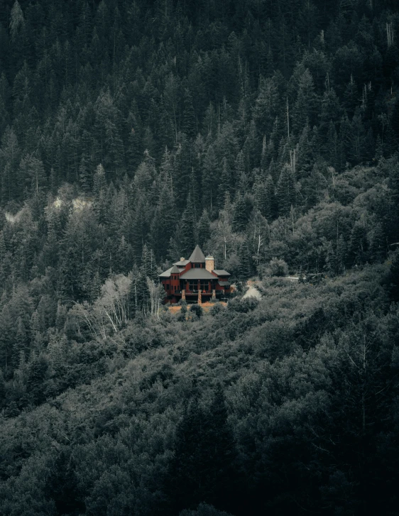 a house is shown perched among trees