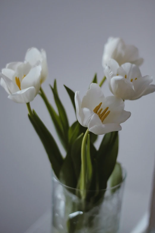 white flowers are in a glass vase on a table